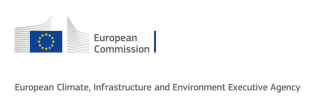 CINEA-logo-horizonal_DGCOMMapproved